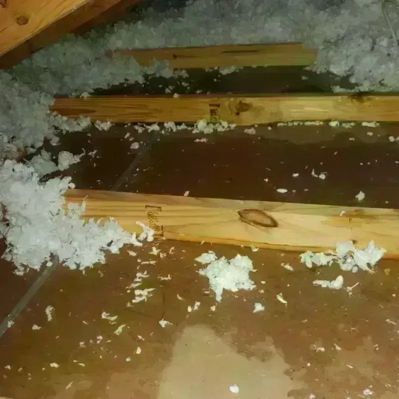 Attic Water Damage in Kingston, MO